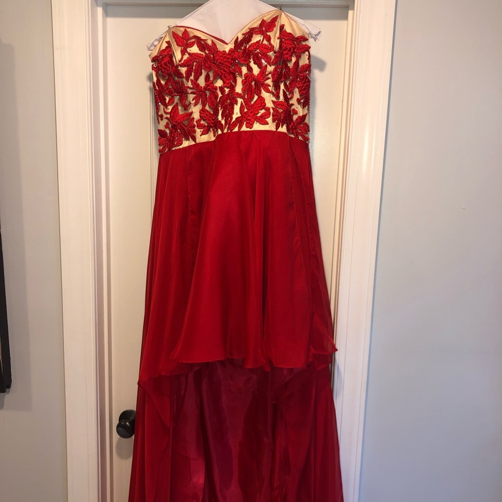 Prom/winter formal dress